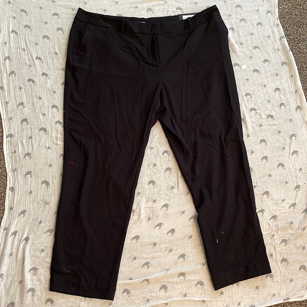 Dress pants